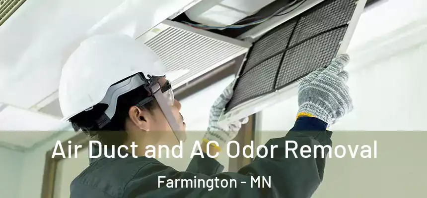  Air Duct and AC Odor Removal Farmington - MN