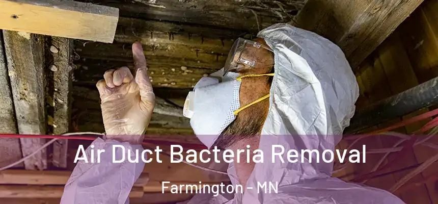  Air Duct Bacteria Removal Farmington - MN