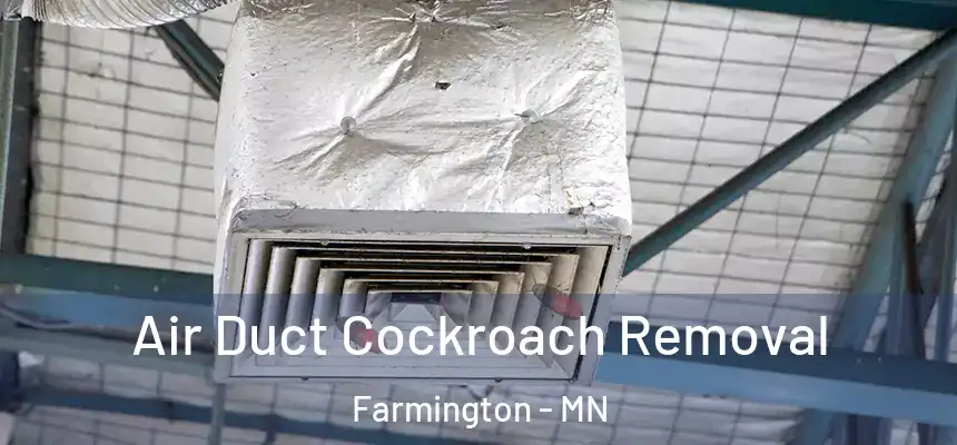  Air Duct Cockroach Removal Farmington - MN