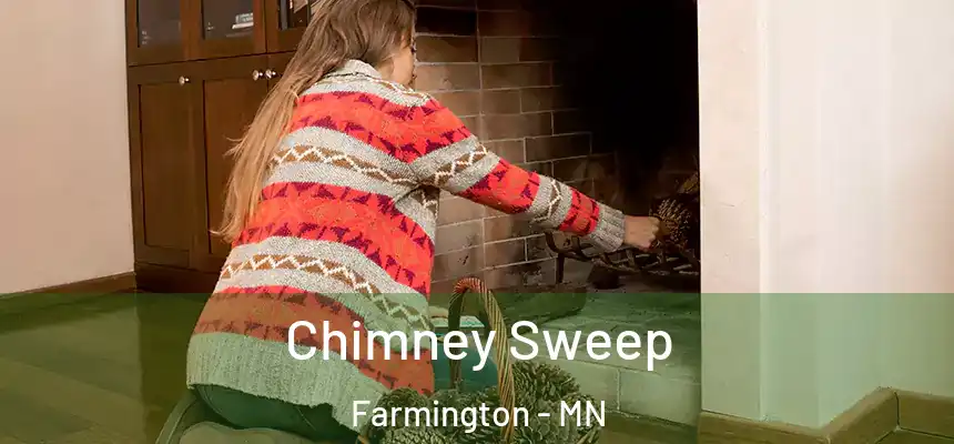  Chimney Sweep Farmington - MN