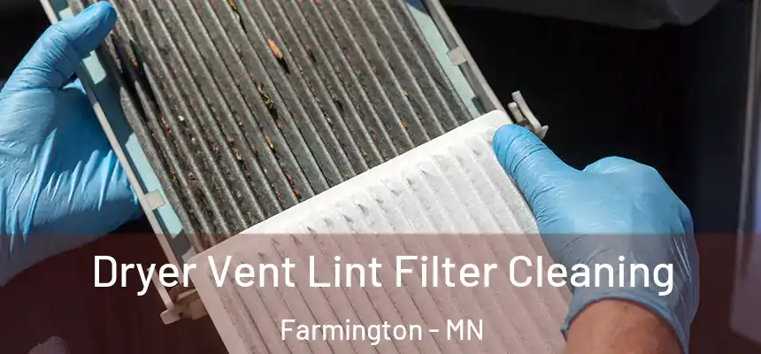  Dryer Vent Lint Filter Cleaning Farmington - MN
