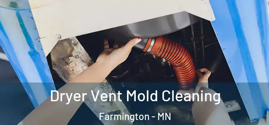 Dryer Vent Mold Cleaning Farmington - MN
