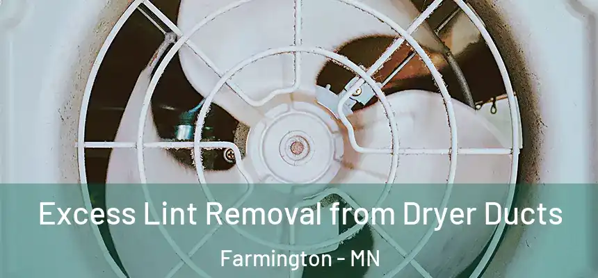  Excess Lint Removal from Dryer Ducts Farmington - MN