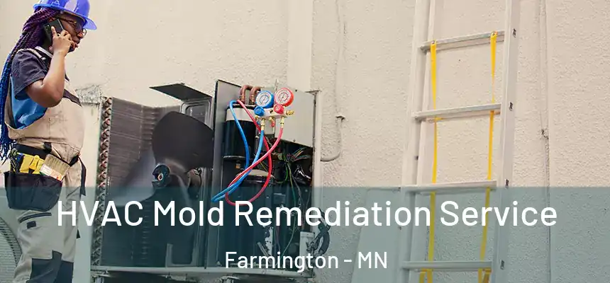 HVAC Mold Remediation Service Farmington - MN