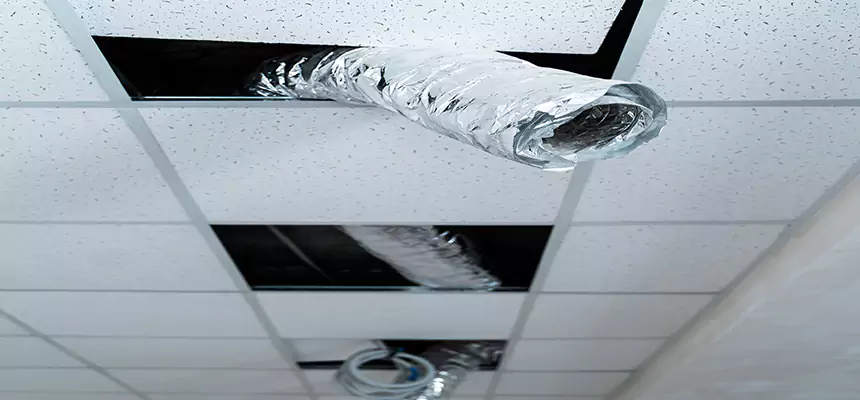 Affordable HVAC Sanitizing After Pest Removal in Farmington