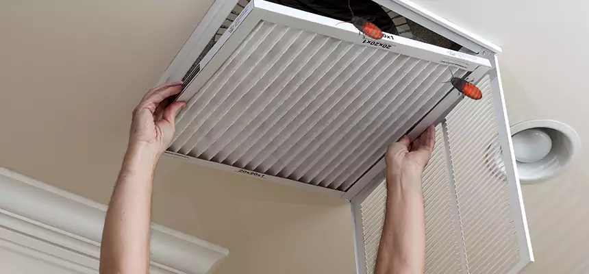 Our Insect Removal from Air Ducts Services in Farmington, MN