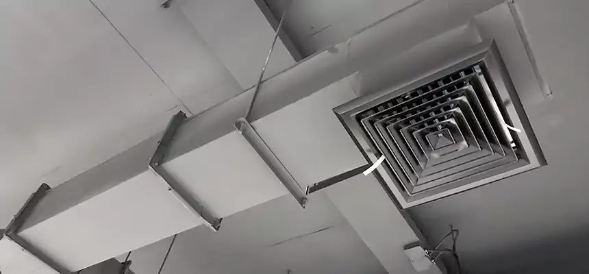 Our Rodent Droppings In Vents Services in Farmington, MN