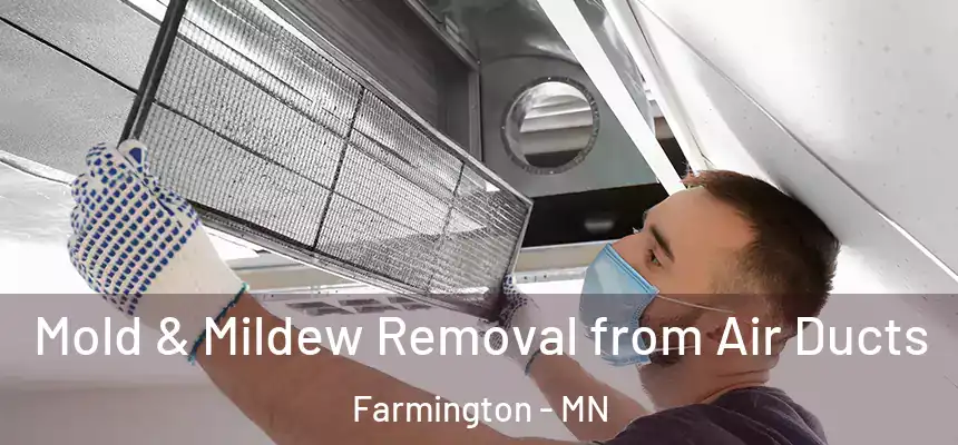  Mold & Mildew Removal from Air Ducts Farmington - MN