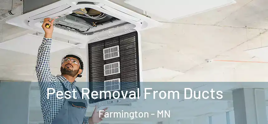 Pest Removal From Ducts Farmington - MN