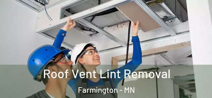 Roof Vent Lint Removal Farmington - MN