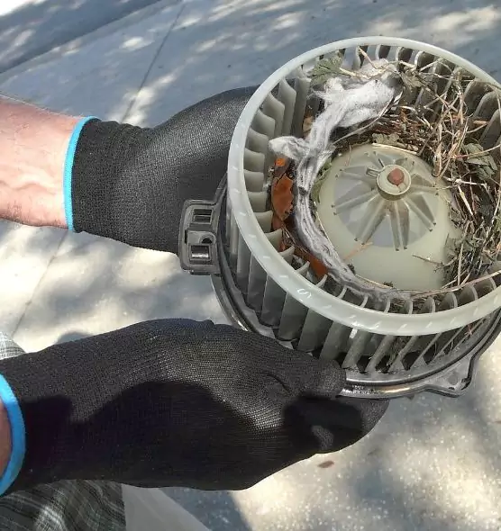 About Air Duct Mice Removal in Farmington, MN