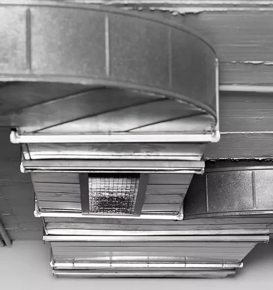 Professional Air Duct Pest Removal in Farmington, MN