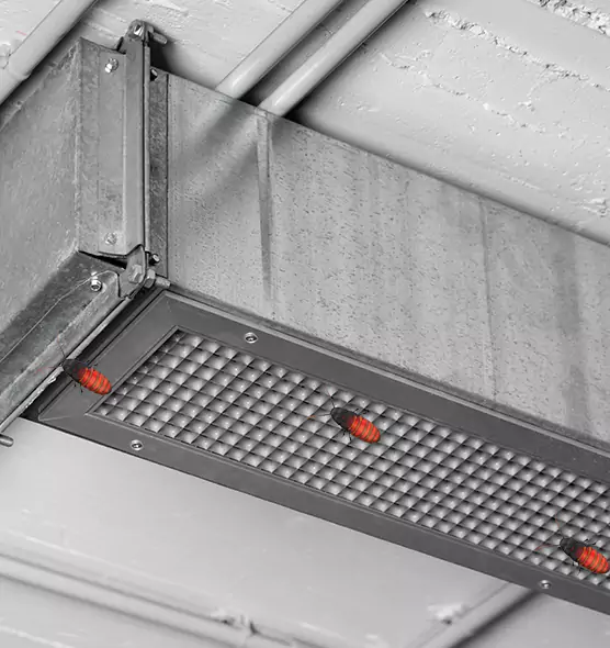 Affordable Insect Removal from Air Ducts in Farmington, MN