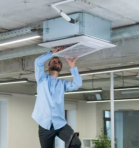 Advanced Rodent Droppings In Vents in Farmington, MN