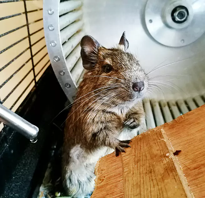 Why Homeowners & Businesses Trust Us Farmington, MN?