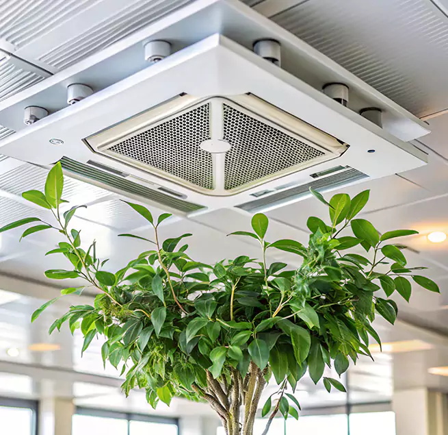 Why Homeowners & Businesses Trust Us in Farmington, MN?