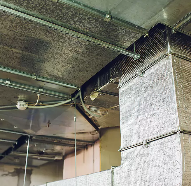 Why Homeowners & Businesses Trust Us in Farmington, MN?